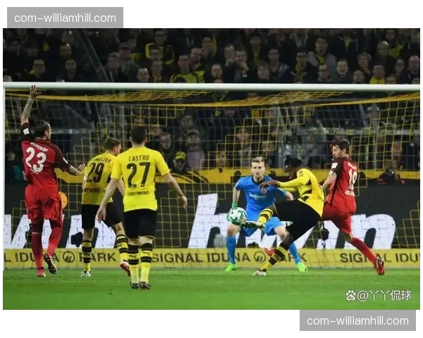 多特蒙德主场两球完胜亚特兰大 德甲球队欧战表现稳健